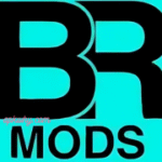 BR Mod Injector