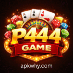 P444 Game
